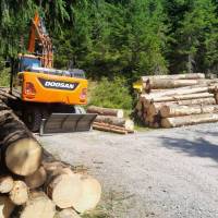 Konrad_Woody_WH61__original