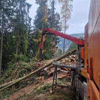 WhatsApp_Image_2025-11-20_at_13.31.42_2_original