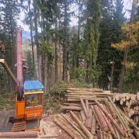 WhatsApp_Image_2025-11-20_at_13.31.42_3_original