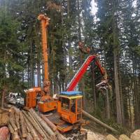 WhatsApp_Image_2025-11-20_at_13.31.42_original