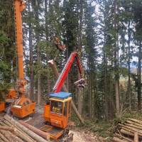 WhatsApp_Image_2025-11-20_at_13.31.43_2_original