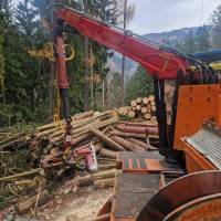 WhatsApp_Image_2025-11-20_at_13.31.43_original