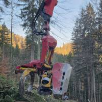 20251031_080336_original