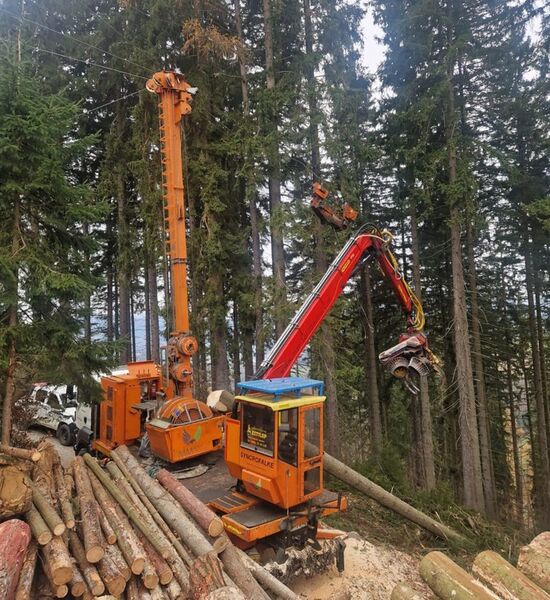 MM Syncrofalke 3t + Woody 60 + Sherpa Laufwagen