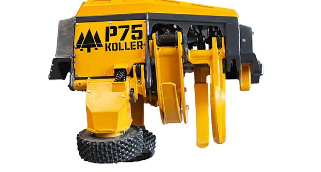 Prozessor P75