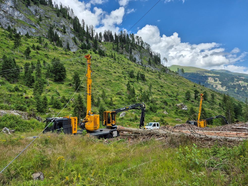 Gebietsverkaufsleiter international (w/m/d)