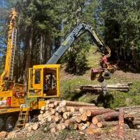 IMG-20250827-WA0009_original