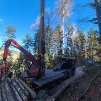 WhatsApp_Image_2026-02-27_at_11.08.50_1_original