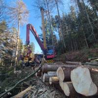 WhatsApp_Image_2026-02-27_at_11.08.50_original