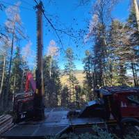 WhatsApp_Image_2026-02-27_at_11.08.51_original